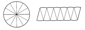 En sirkel delt i 12 like store deler (sektorer) og deretter 